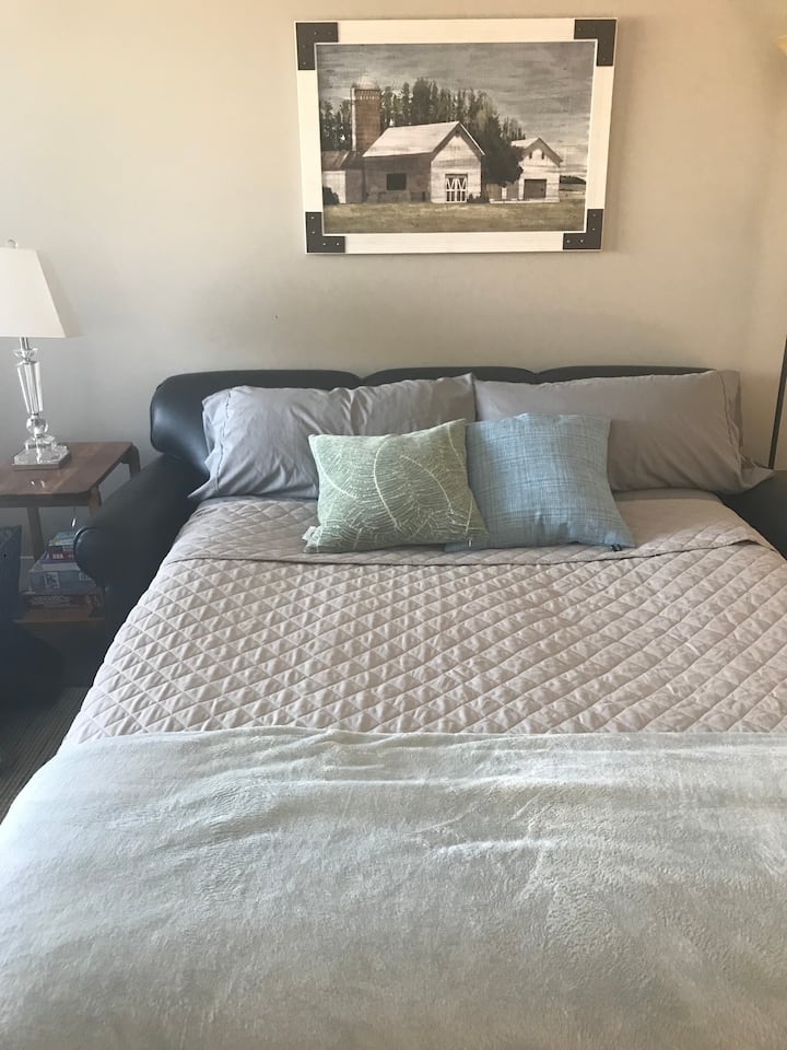 Leather pull out couch turns into a Queen bed with all linens, extra blankets and pillows provided.