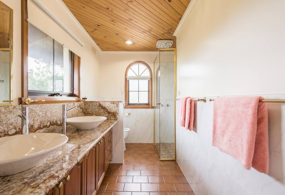 Large Ensuite - large shower