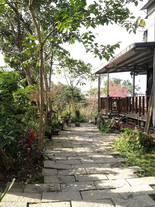the little garden in front of the house
