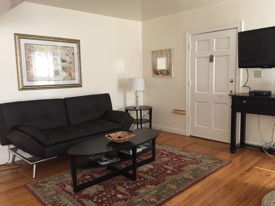 Living room with fold down leather couch to make a full size bed