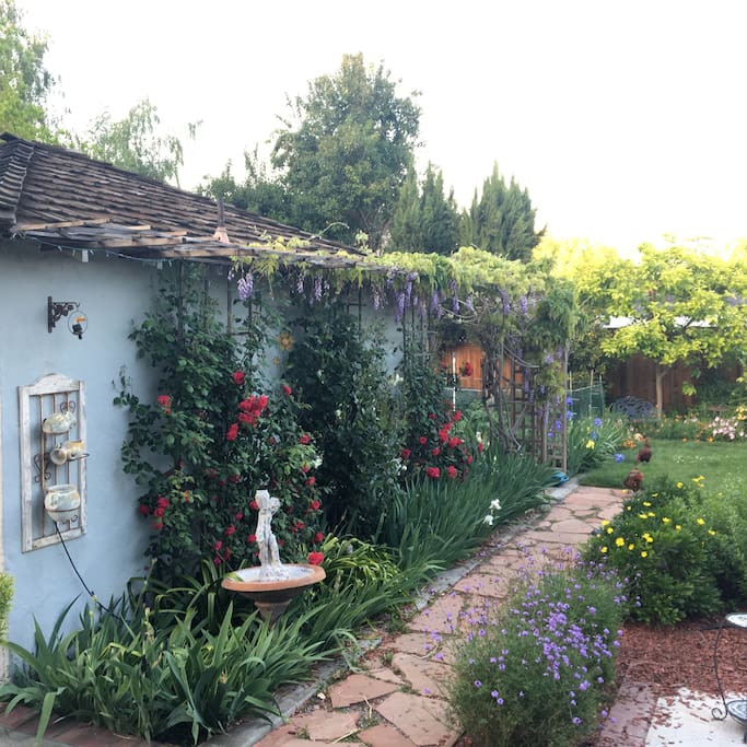 Our lovely backyard