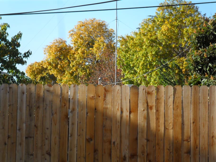 A nicely fenced back yard.