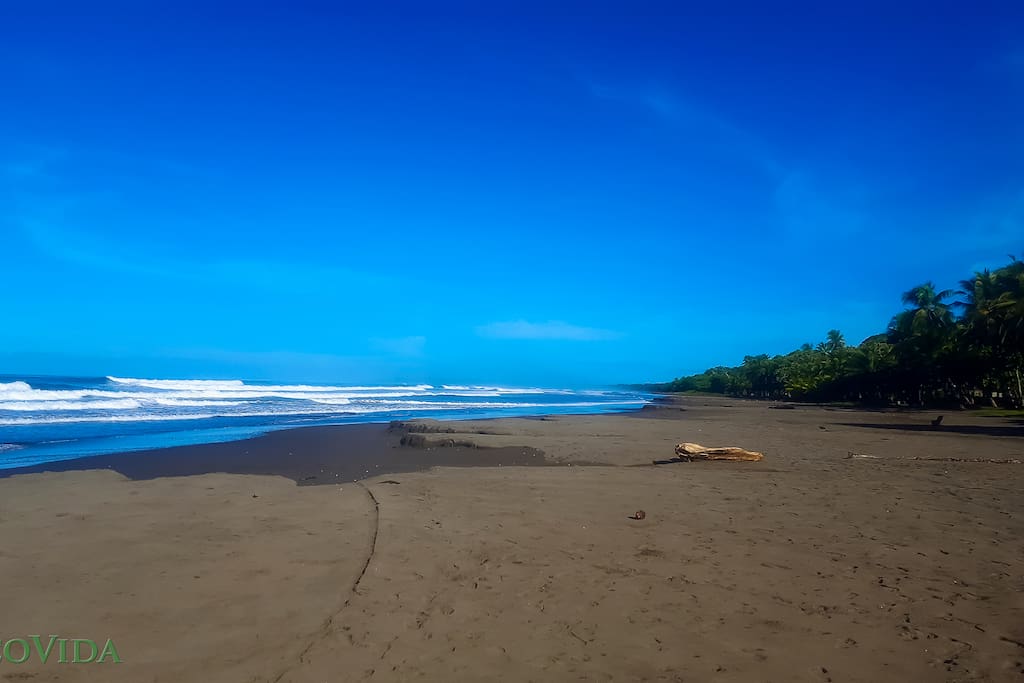 Playa Bejuco - Top 10 cleanest beach in Costa Rica. 3 Star Blue Flag designation!