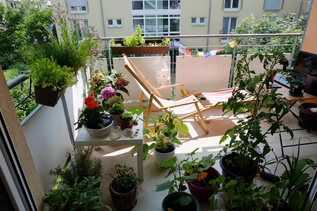 Sonniger Balkon mit Aussicht ins Grüne