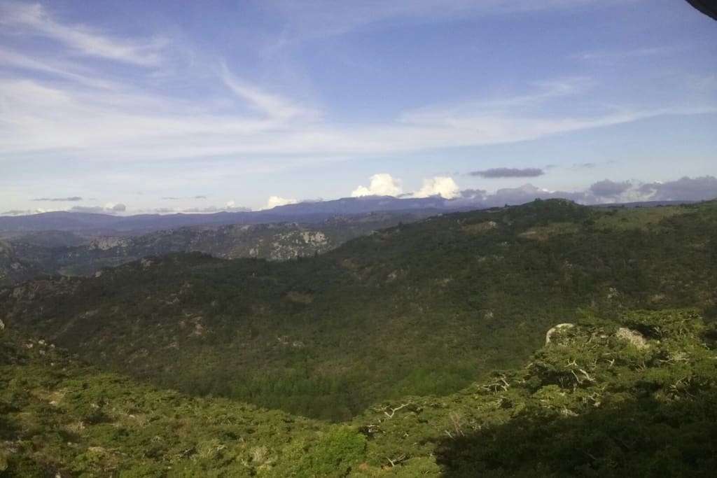 View from the patio with Mt Nyangani in the Centre