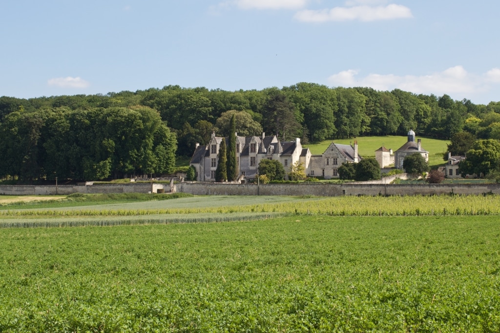 The image captures a historical house set amidst expansive vineyards and lush greenery. The 12th-century structure features distinct architectural elements, surrounded by trees and rolling hills. The serene landscape reflects a harmonious blend of nature and history.