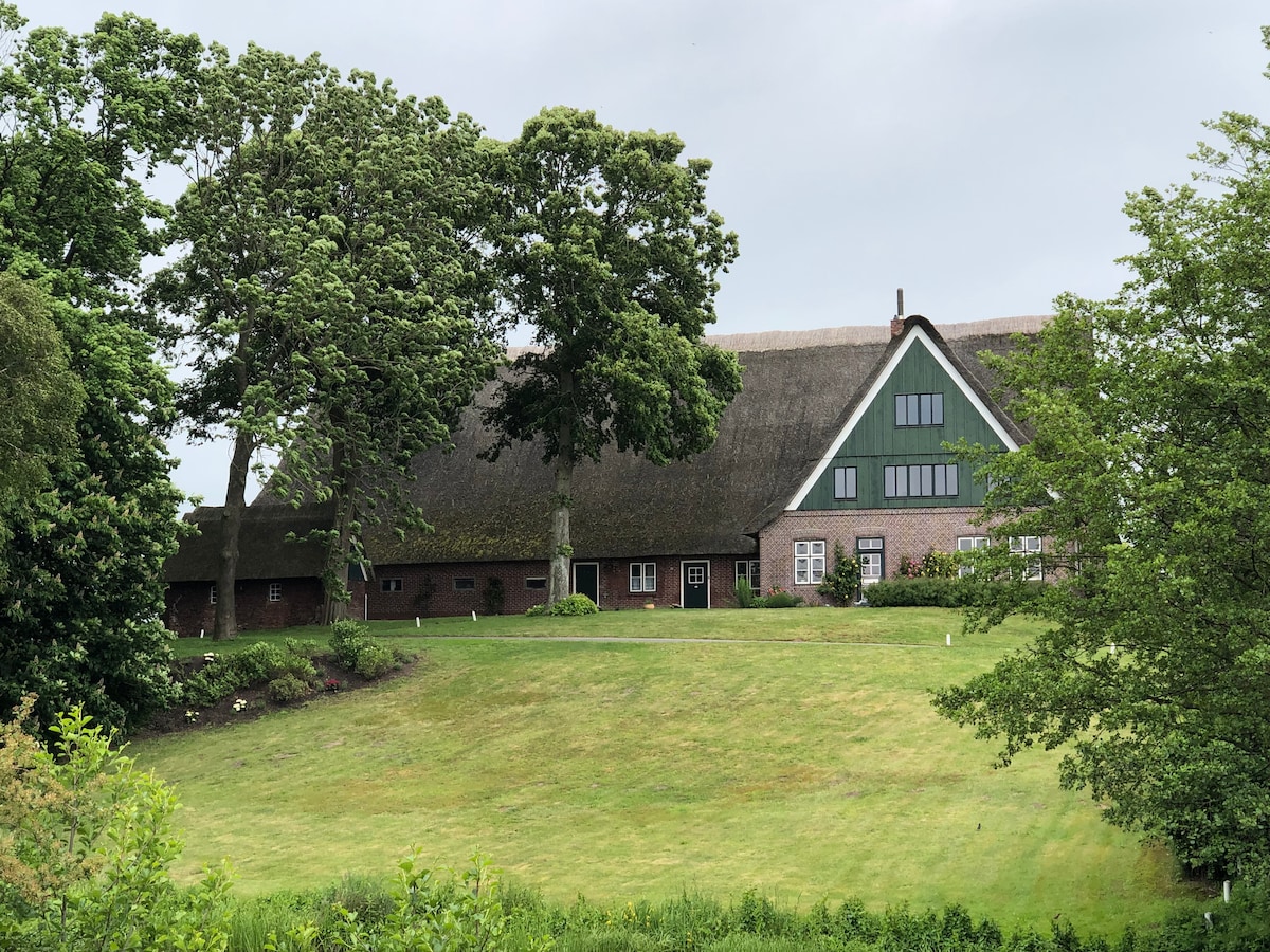 A traditional thatched-roof building is set amidst lush greenery, featuring large windows and a welcoming facade. Surrounding trees provide shade, while a spacious lawn extends in front, contributing to the serene atmosphere of the property.