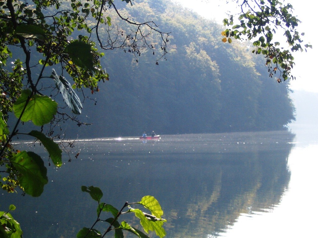 A calm lake is framed by lush green foliage, showcasing two people in a kayak gliding across the serene waters. The surrounding trees reflect softly on the surface, enhancing the tranquil ambiance of the natural environment.