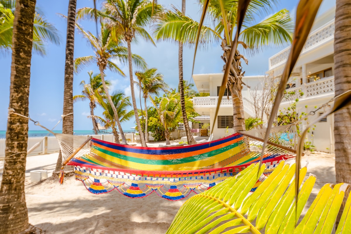 A colorful hammock is strung between palm trees in a sandy area by the beach. Lush green foliage surrounds the hammock, offering a serene retreat. The backdrop features a white building, harmonizing with the tropical setting and inviting relaxation by the ocean.