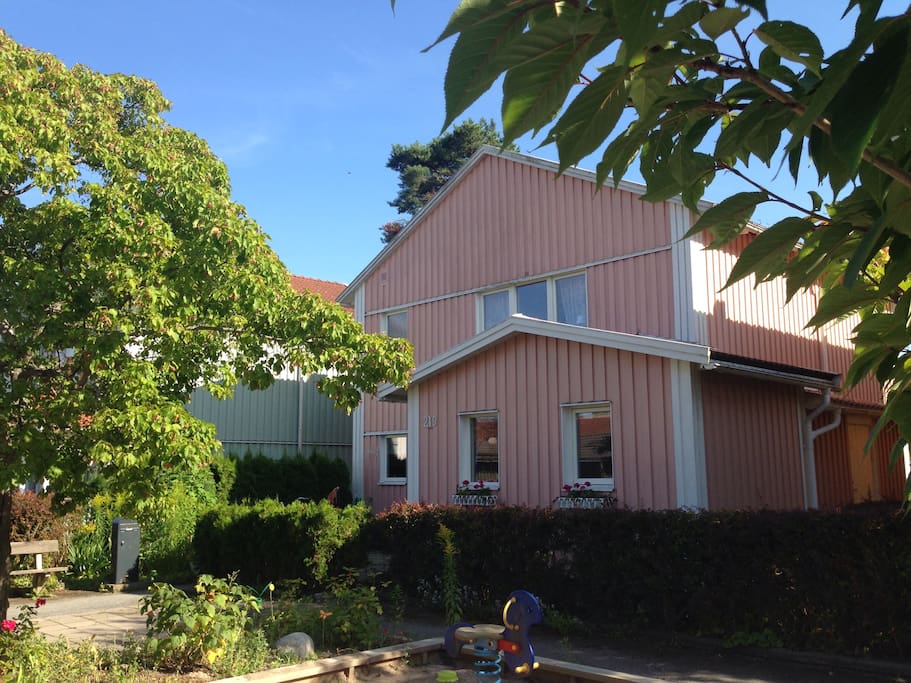 Our pink house