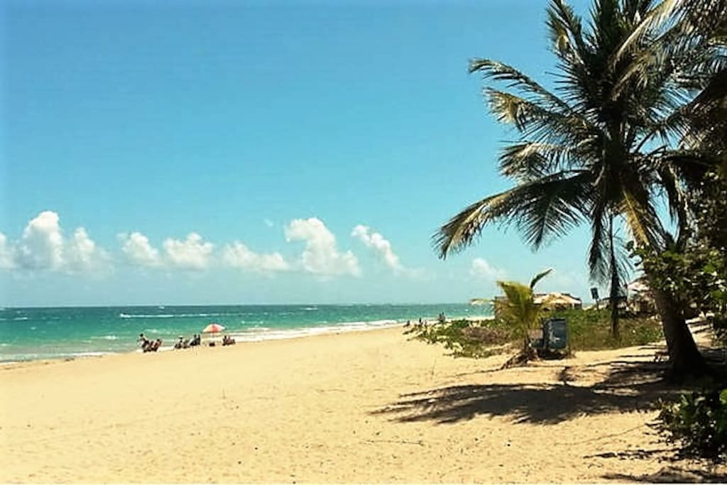 Ocean Park Beach: San Juan's best, and only steps from our place!
