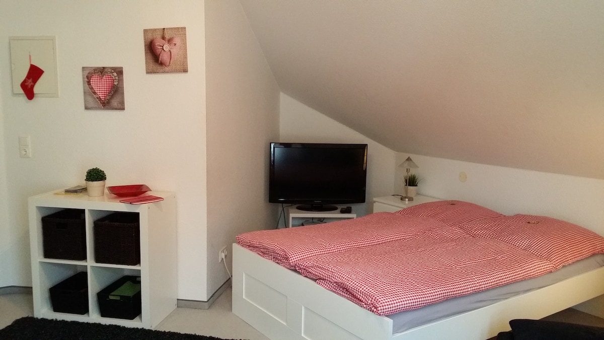 A cozy sleeping area features a spacious bed dressed in red checkered bedding. A flat-screen TV is positioned against the slanted wall, complemented by a small decorative table adorned with a potted plant. Decorative wall art adds a touch of warmth to the white walls.