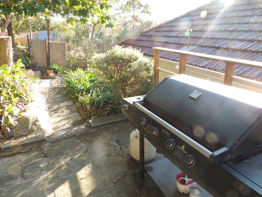 BBQ in back garden