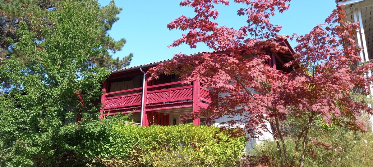 The exterior view of the building showcases a two-story structure highlighted by red accents and a balcony. Lush greenery frames the space, with vibrant red foliage adding a seasonal touch. A clear blue sky provides a bright backdrop to this serene setting.