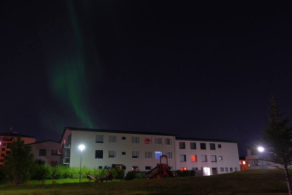 Yes, on occasion the northern lights are actually visible from inside Reykjavík :)