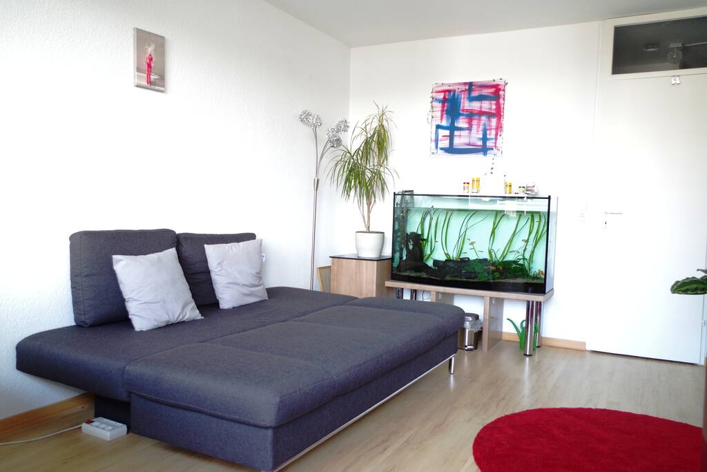 Das Sofa dient zum Schlafen oder zum Relaxen und Fernsehen