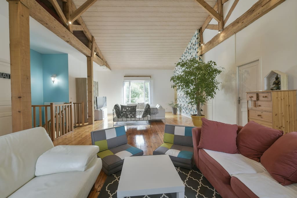 Salon 56 m²