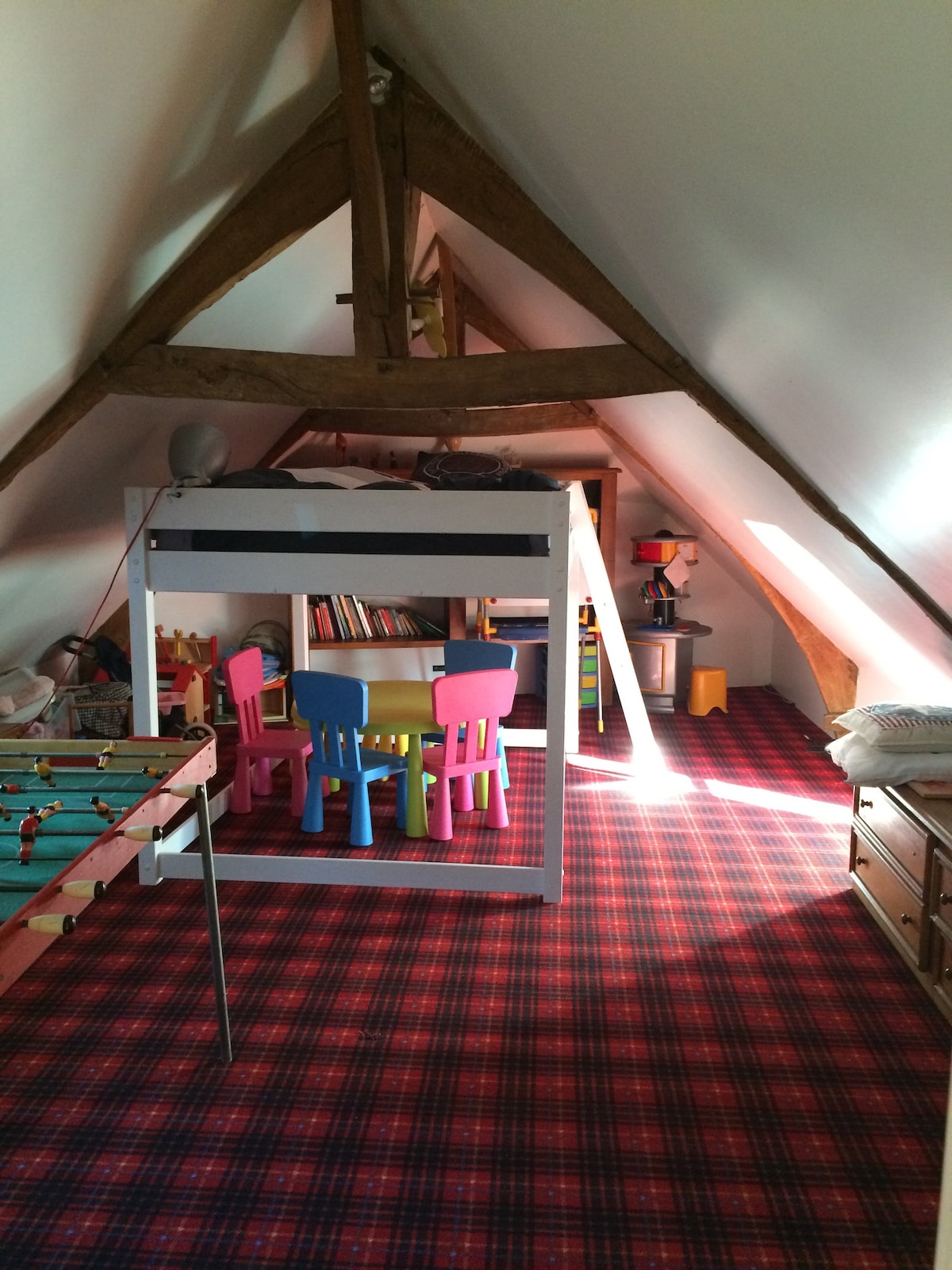 СПАЛНЯ С ЛУПИНИ И СТАЯ ЗА ИГРИ