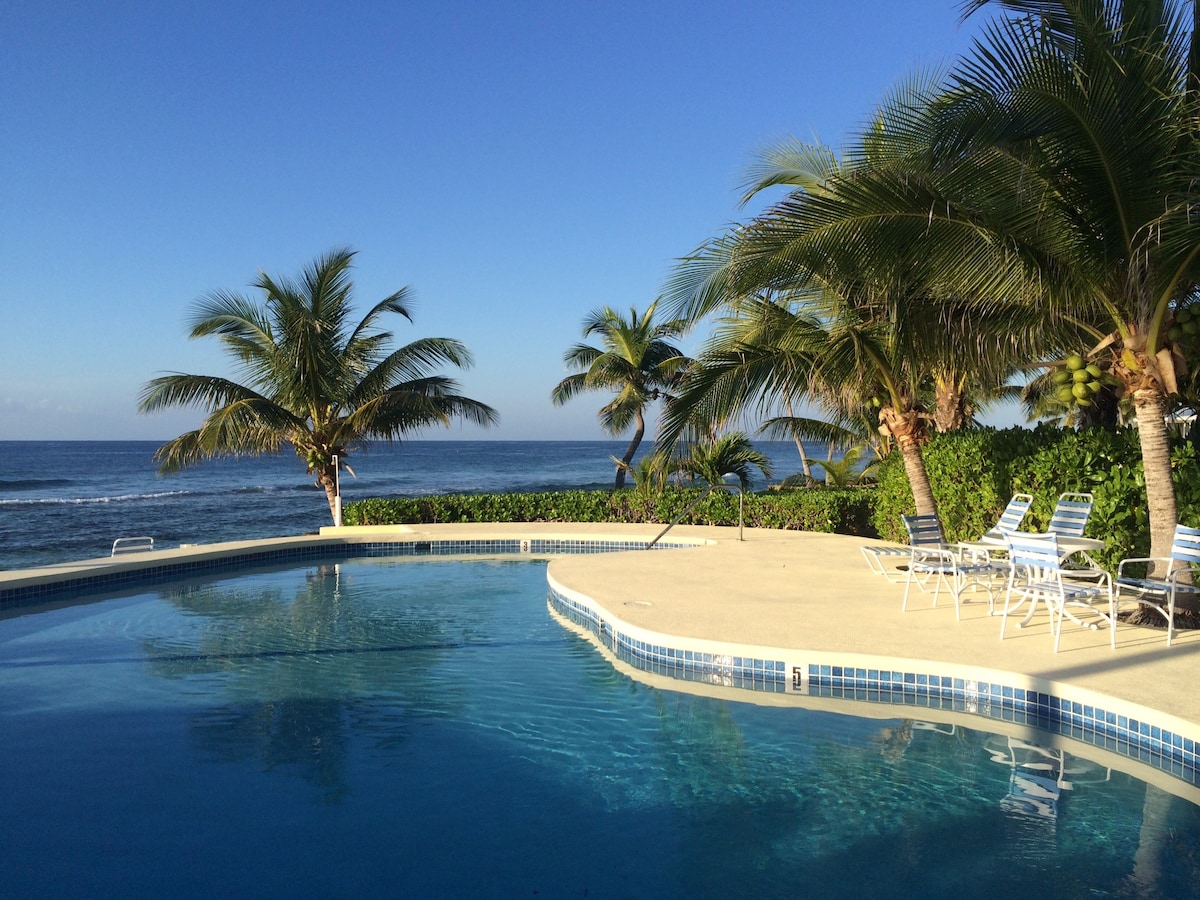 A tranquil swimming pool is surrounded by palm trees, overlooking the ocean. The water is calm and inviting, reflecting the clear blue sky. Lounge chairs are arranged near the pool, providing a relaxing atmosphere for sunbathing or enjoying the views.