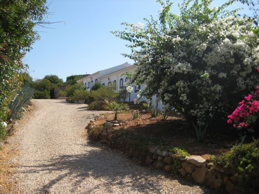 Entrée des cottages