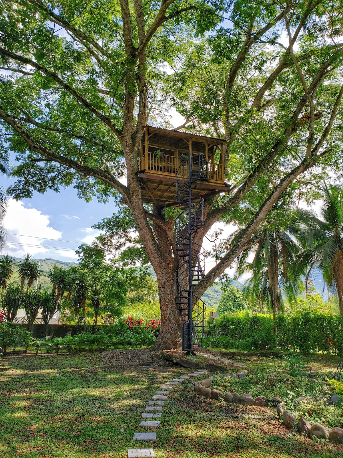 A wooden treehouse is elevated among the branches of a large tree, accessible by a spiral staircase. Lush greenery surrounds the area, with diverse trees and plants creating a natural setting. Sunlight filters through the leaves, illuminating the treehouse's inviting structure.