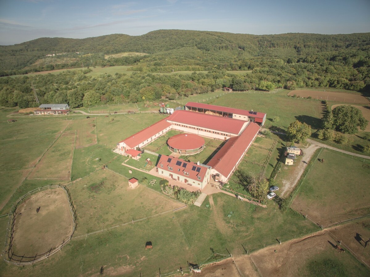An aerial view captures a spacious property featuring multiple buildings with red roofs arranged around a central courtyard. Lush green fields surround the facility, gently rolling hills are visible in the background, and several vehicles are parked along a gravel path.