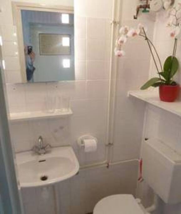 Shower Toilet