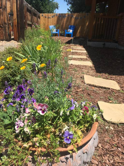 Summer flowers