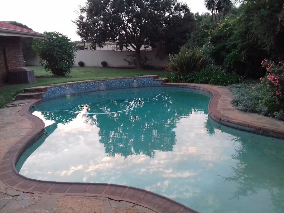 Our pool