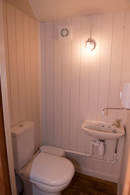 The en-suite toilet and sink
