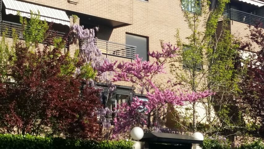 Amplio Duplex con jardín y piscina junto a IFEMA.