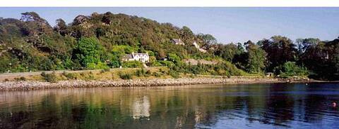 The wee house-Birchwood by the sea.