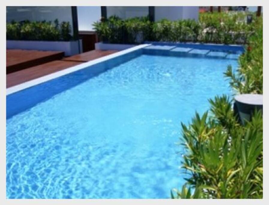 Pool, Water, Resort, Swimming Pool, Palm Tree