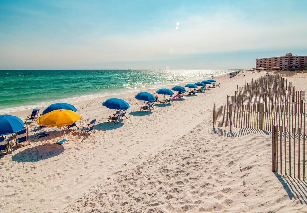 A Wonderful Day At The Beach