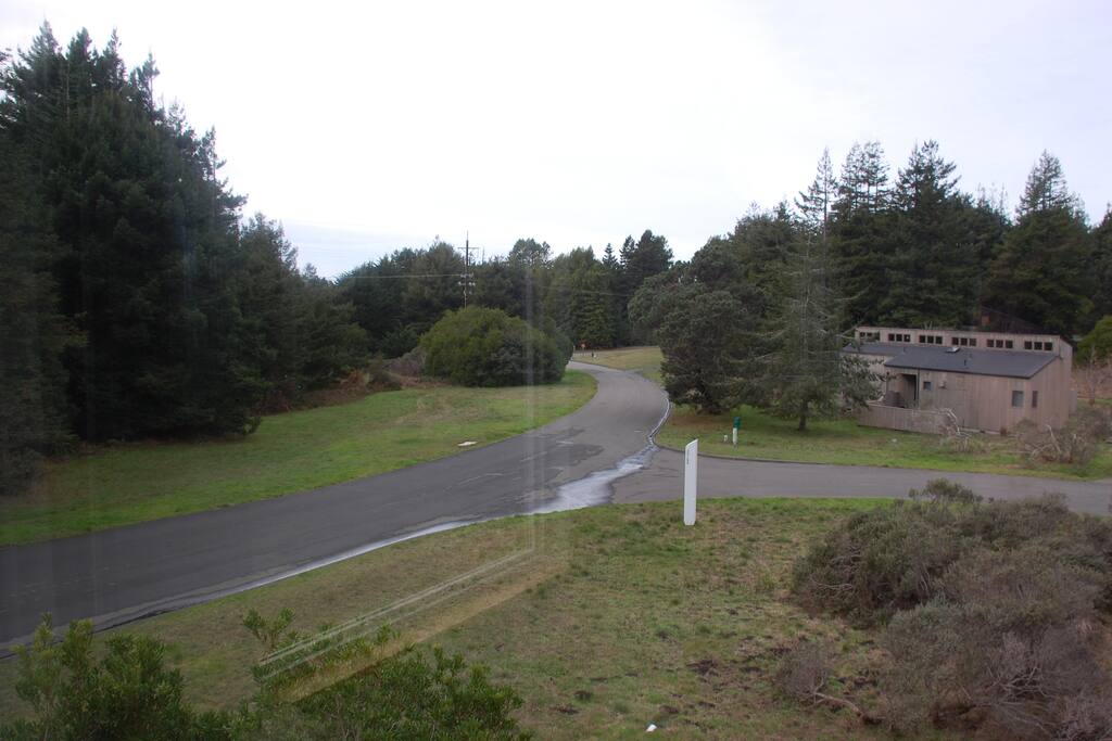 View from living room