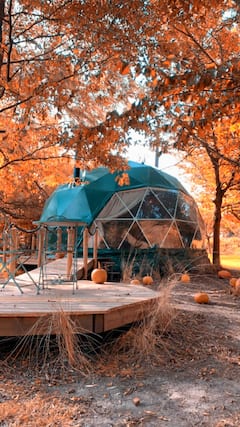 private+glamping+Dome+in+nature+with+fish+pond