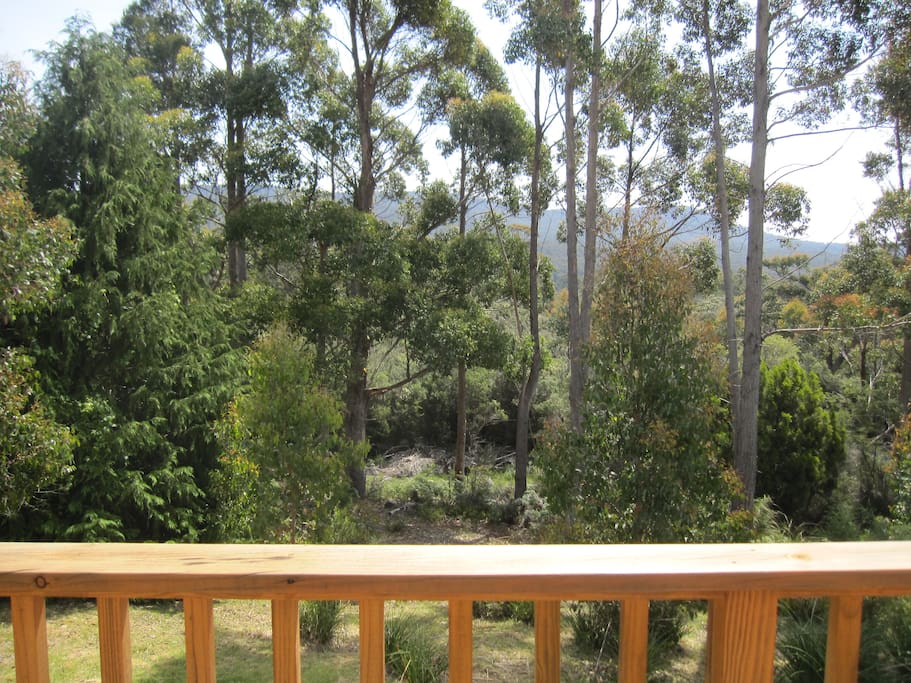 View from Deck looking at the bush