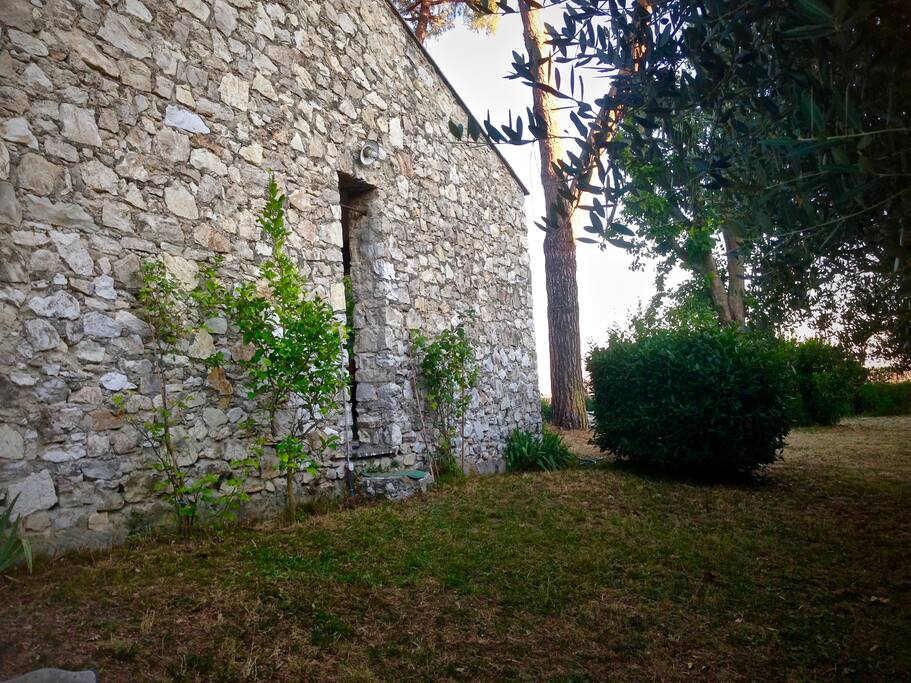 Giardino lato Ovest