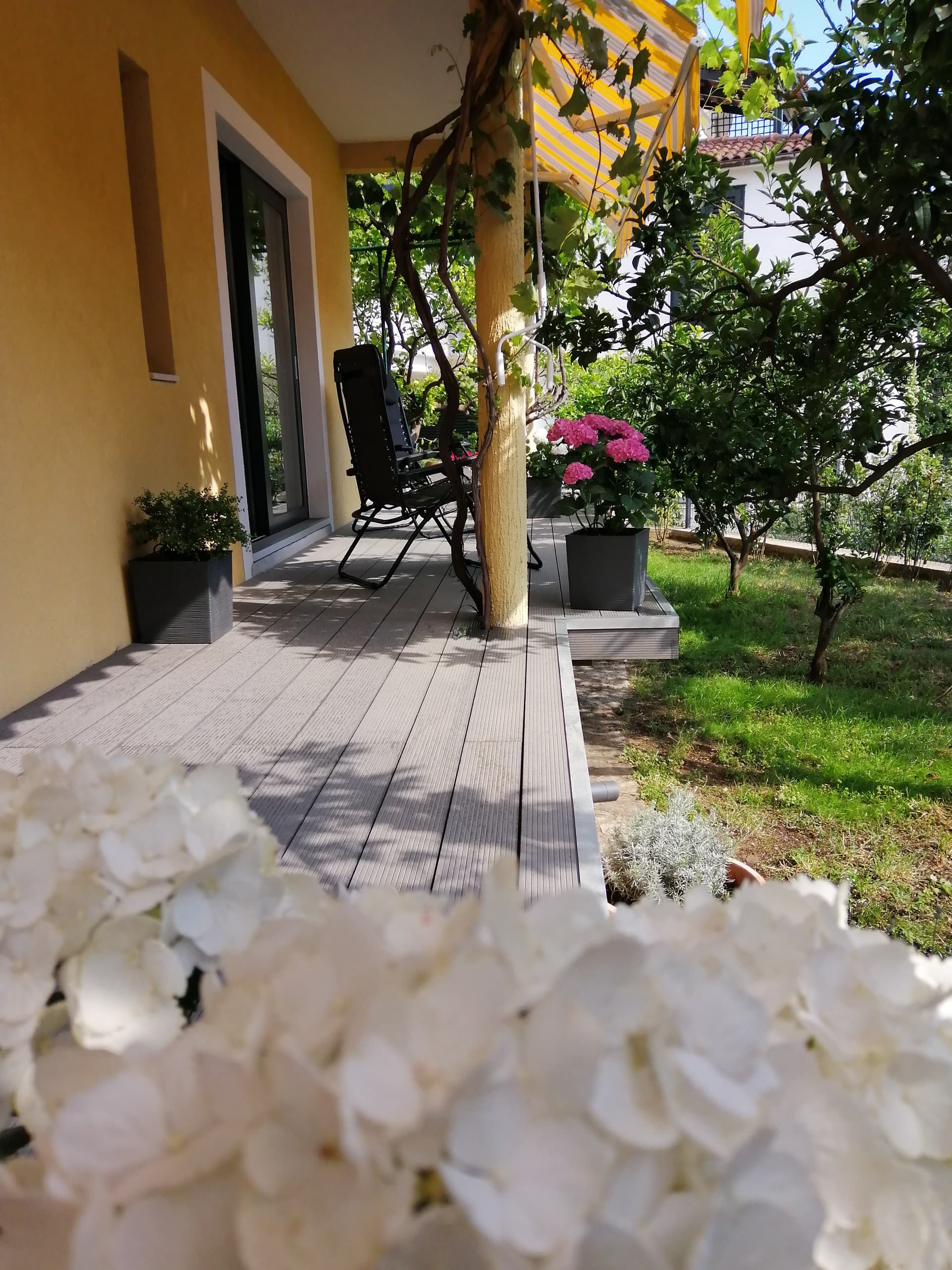 MORE Podgora Luxury Design Apartment — foto 4