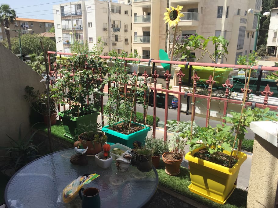 balcony