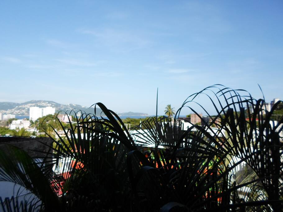 Vista principal desde la sala