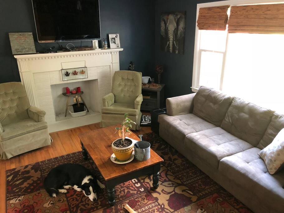 Living Room - more than welcomed to lounge here.