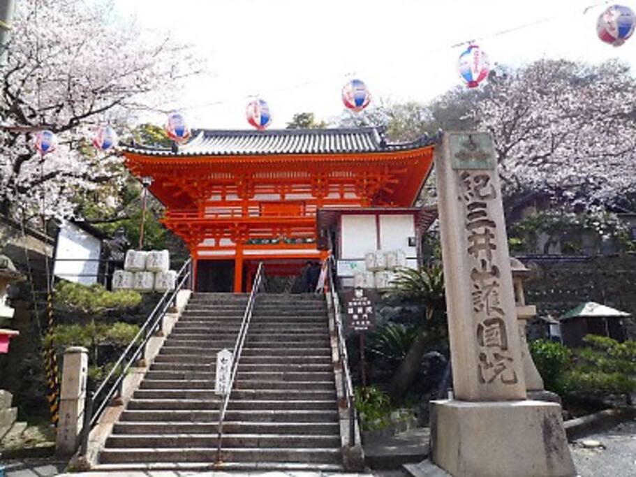 Kimiidera temple