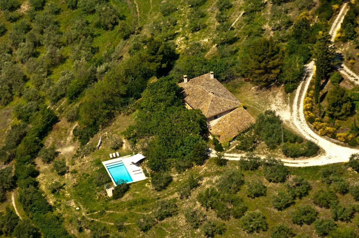 THE CASALE DEI ROMBI AMONG THE OLIVE TREES