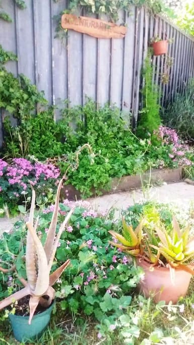 Jardín