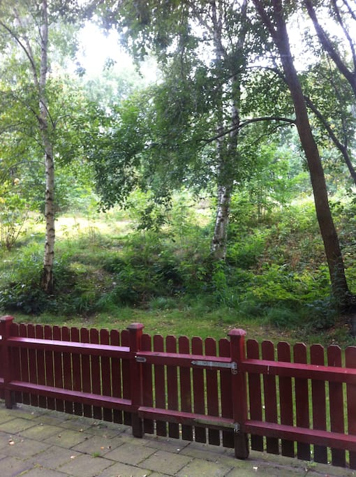 The view from the window