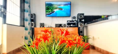 panoramic viewpoint of the flowers