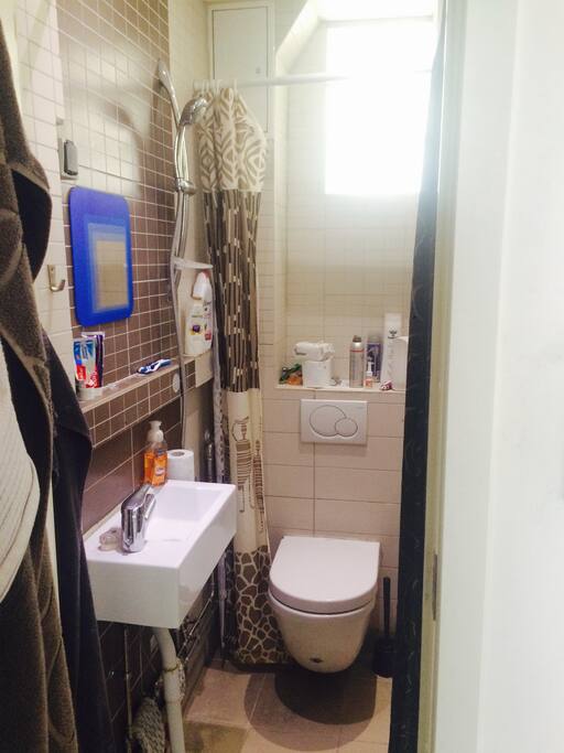 Small bathroom with well shower and toilet