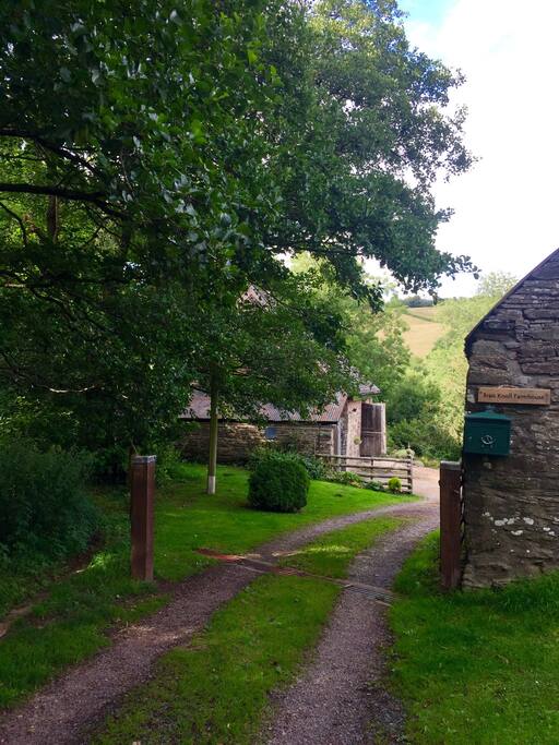 The drive and entrance