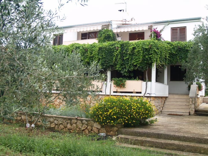 Maslinski dvori (Apartment 3)